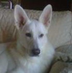 Meet your Posher, Jean